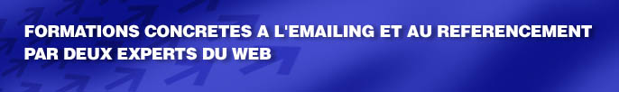 Programme formation emailing referencement